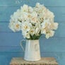 Peach Lemonade, Daffodil & Tulip Mix - 10 Bulbs thumbnail number null
